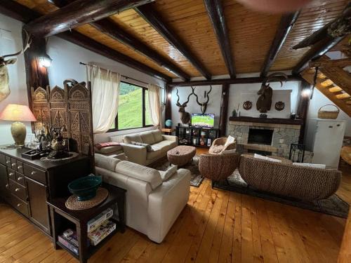 Dambovicioara Chalet De Ski | A Hunter's Lodge