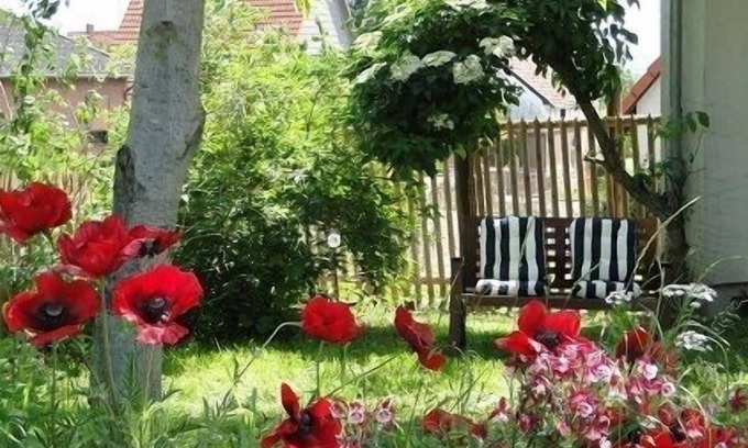 Bredelem Appartement | un grand appartement confortable où les enfants et les animaux sont les bienvenus
