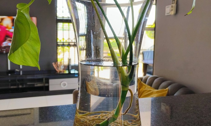 Gaborone Maison | A Modern home, in the heart of the city, 2 minutes to the biggest shopping mall
