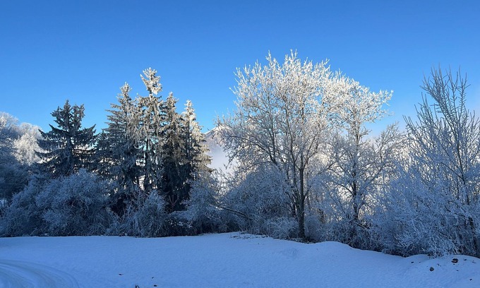 Marnaz Appartement | A peaceful, cosy break for two in the mountains
