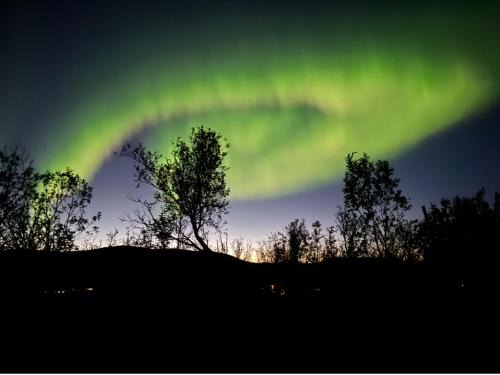Tromso Appartement | A place for Aurora in wintertime and midnight sun in summer-time!