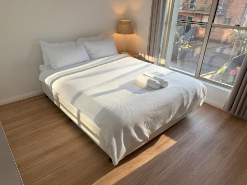 Erskineville Appartement | A Quiet Oasis