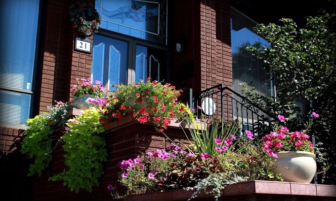 Humber Summit Appartement | Une suite douce dans une magnifique maison de style chalet
