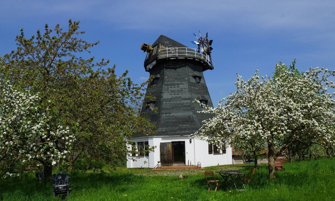 Sarow Maison | Un moulin à vent pour tomber amoureux, la famille et les chiens avec un grand jardin