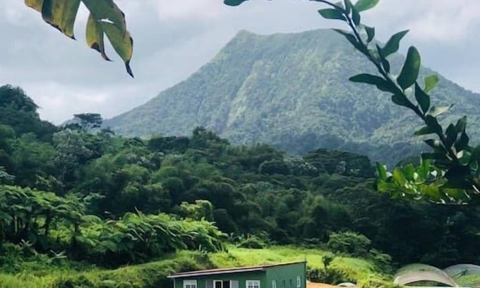 Le Morne-Rouge Maison | Chambre ylang ylang en pleine nature