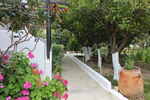 Ferma Appartement | Aaron Apartments
