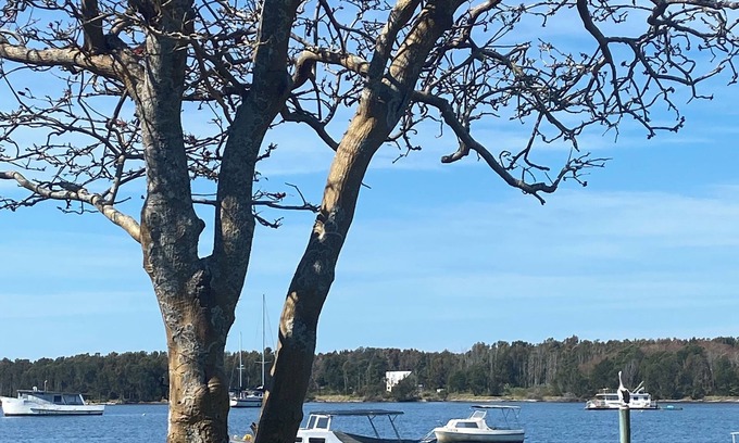 Shoalhaven Heads Cabine | Absolute Waterfront - Lorsens On The River - 3 x 2 bedroom cabins