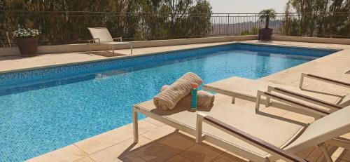 Rosh Pinna Appartement | Accommodation at Miss Daisy - להתארח אצל מיס דייזי