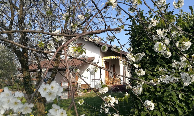 Giaveno Maison | Hébergement dans un charmant chalet à Giaveno