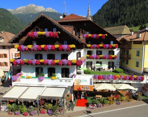 Predazzo Hôtel | Active Hotel Ancora