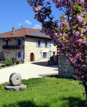 Saint-Maximin Appartement | ADAL-BERHT