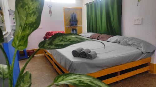 Mysore Cabine | ADH Amilia Gardens