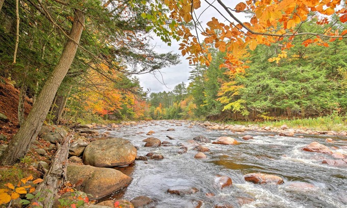 Glenfield Cabine | Cabin Adirondack Riverfront Connexion