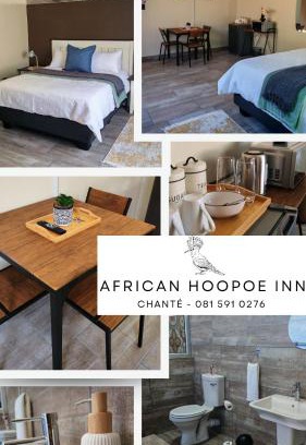 Polokwane Lit Et Petit-Déjeuner | African Hoopoe Inn