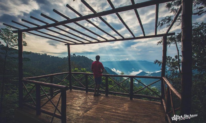 Meppadi Station Balnéaire | After the Rains - Rainforest Lodge