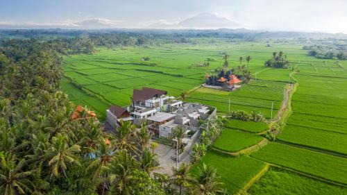 Ketewel Hôtel | Agrapana Beach Villa