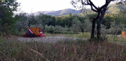 San Giustino Valdarno Autre | Agricampeggio Borgo Agna