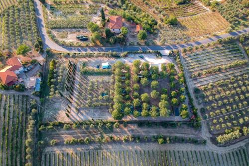 Certaldo Autre | AGRiCAMPiNG POGGiO Ai PiNi WiNE CAMPiNG