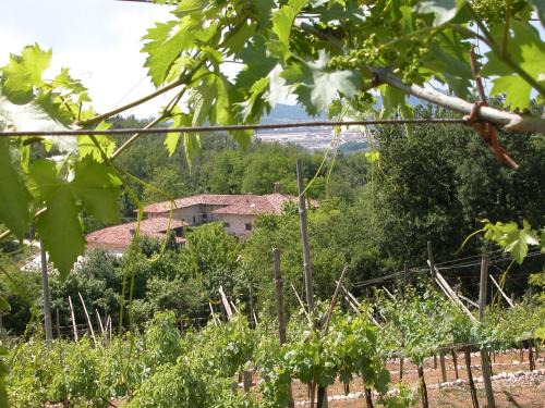 Sant'Ambrogio di Valpolicella Maison | Agriturismo Ca' Verde