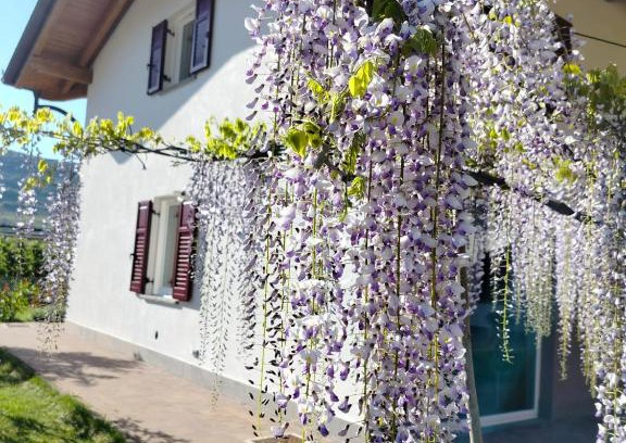 Nave San Rocco Maison | Agritur Lavanda