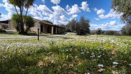 Manciano Maison | Agriturismo Bio Pian Dei Casali