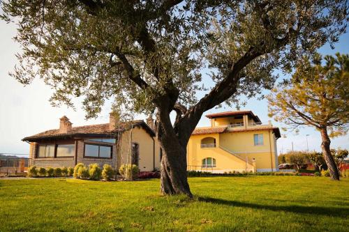 Giulianova Lit Et Petit-Déjeuner | Agriturismo BioCore 2 - Colledoro