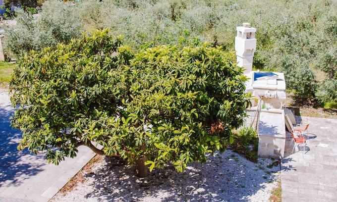 Cutrofiano Autre | Agriturismo biologico Piccapane
