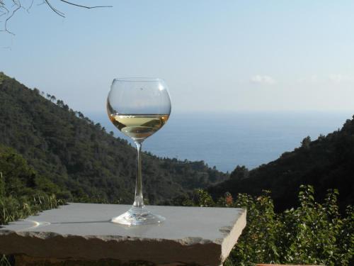 Vernazza Maison | Agriturismo Costa di Campo