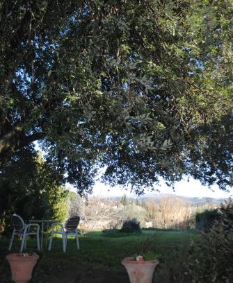 Oltrarno Appartement | Agriturismo Fattoria di Malavolta