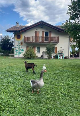 Fai della Paganella Maison | Agriturismo Girasole