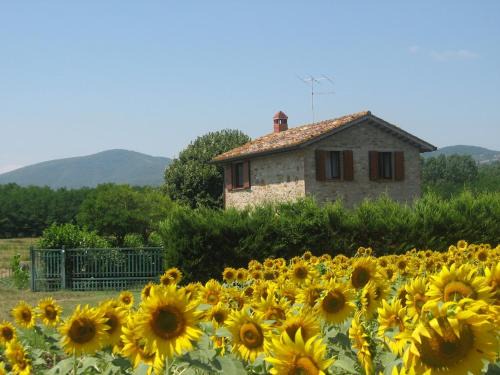 Umbertide Maison | Agriturismo gli Arrighi - Cà di Giulia