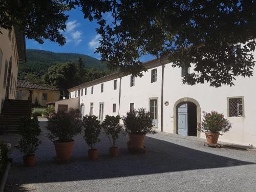 Montale Maison | Agriturismo Il Frantoio Di Colle Alberto