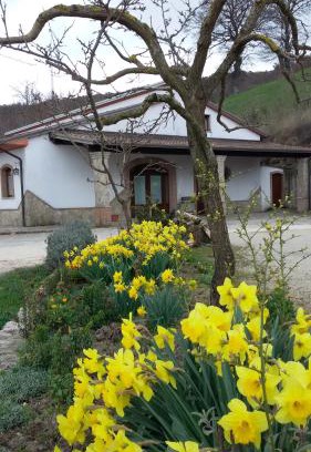 Baselice Maison | Agriturismo Il Regio Tratturo