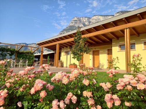 Nave San Rocco Maison | Agriturismo L' Isola di Arturo