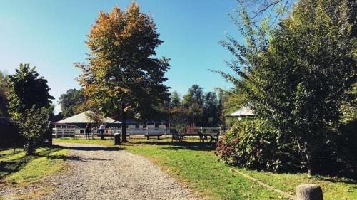 Senna Comasco Maison | Agriturismo La Fornace centro ippico