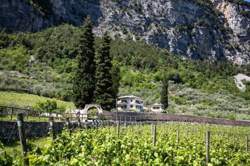 Ceniga Lit Et Petit-Déjeuner | Agriturismo Maso Lizzone