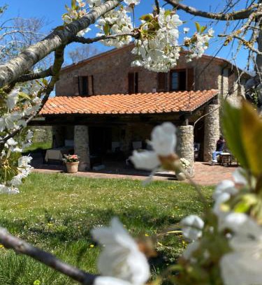 Massa Marittima Appartement | Agriturismo Monte Gusciani