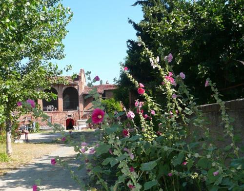Quattordio Maison | Agriturismo Olivazzi
