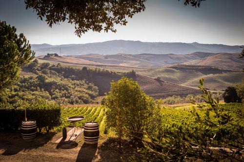 Terricciola Maison | Agriturismo Pieve de Pitti