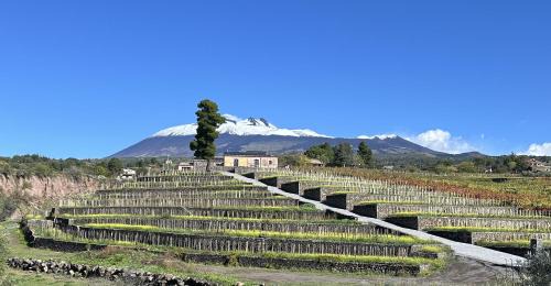 Santa Maria di Licodia Lit Et Petit-Déjeuner | Agriturismo Travaglianti Alloggio Etna