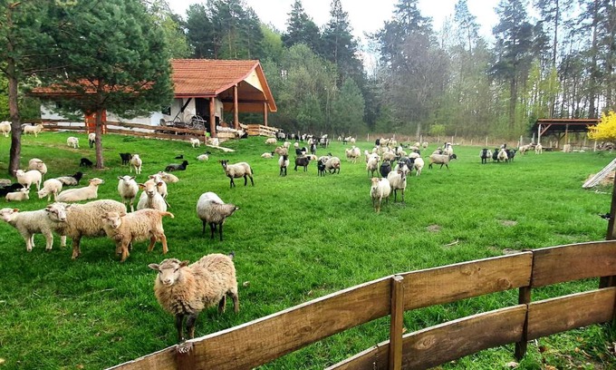Narol Maison | Agroturystyka Stara Huta