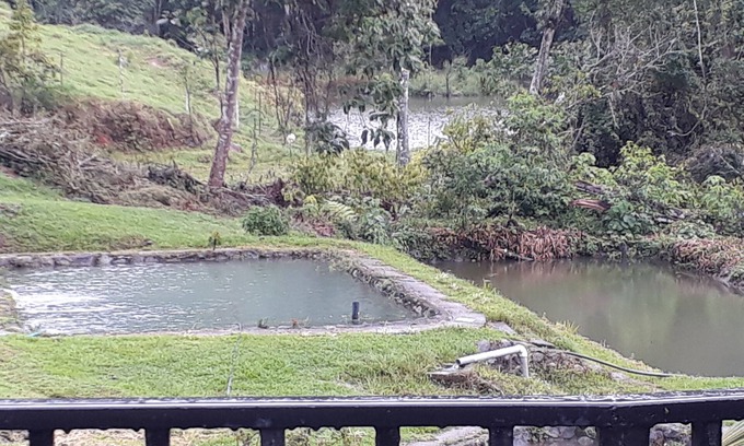 Platanares Cottage | Logement Agua Azul