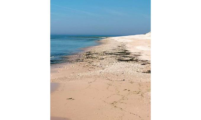Champagne-les-Marais Maison | air-conditioned studio near La Rochelle and the Vendée beaches!