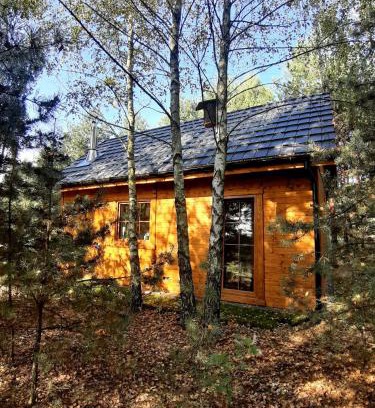 gmina Olsztyn Maison | Ajurweda na Jurze Agroturystyka