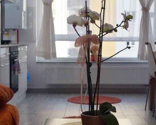 Brasov Appartement | Aki studio