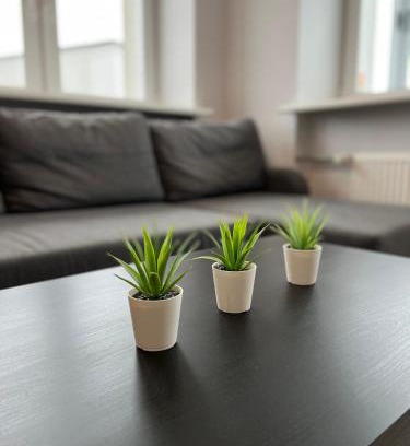 Siauliai County Appartement | Akmene Center Apartment