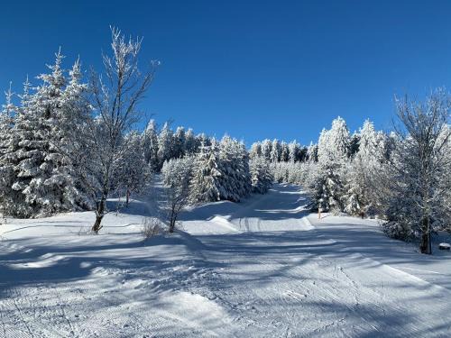 Hildfeld Appartement | Aktiv-Ferienwohnung "Snow & Bike"- Zentral zwischen Winterberg und Willingen