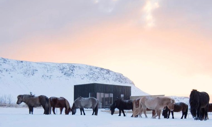 Sveitarfelagid Olfus Maison | Akurgerði Guesthouse 4 - Country Life Style