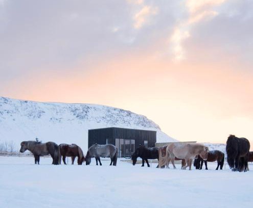 Sveitarfelagid Olfus Maison | Akurgerði Guesthouse 8 - Country Life Style