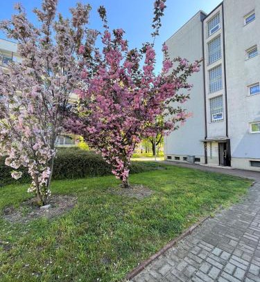 West Pomeranian Voivodeship Appartement | Al-dom Apartamenty Apartament II Mare 500m do morza